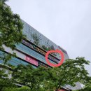 산본연세소아청소년과의원 네이버블로그