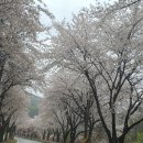 남육기농장 네이버블로그