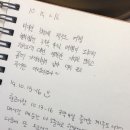 포니제주 이미지