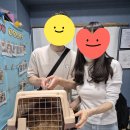 화성이가 입양전제임보로 집밥을 먹으러갔습니다! 이미지