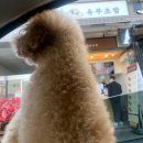 정직유부 광안점 이미지