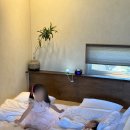 스테이알오 이미지