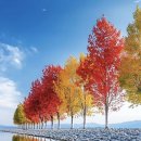 하루아늑 이미지