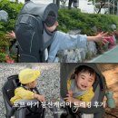 캐리어 | 아기 포브 볼레 프로 등산캐리어 트레킹 후기