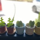 카페 헤브론 이미지