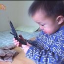 스시익스프레스 이미지