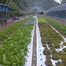 안이하우스 이미지