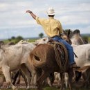 일간목장 이미지