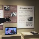 해녀와바다 | 제주 세화마을에서 만난 해녀와 바당식탁 후기, 해녀박물관 도슨트투어와 콩국·기름떡 체험