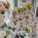 사파동103 이미지