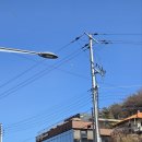 한밭식당&오뎅이네호떡 | 🥞 4층 건물의 위엄! 대전 반찬식당 호떡+보리밥 후기