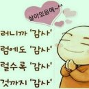 (주)이호 이미지