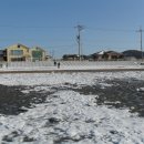 뜨리바다 이미지