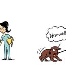 즐거운동물병원 이미지