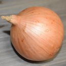 순천시 고형미생물 생산시설 | 음식물 쓰레기에 대해 어디까지 알고 계신가요?