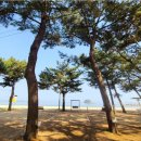 너와나펜션 - 양양군 화상해안길 7-44 | 너와나펜션