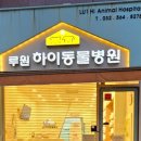 루원하이동물병원 | #루원하이동물병원