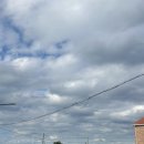 수연약국 | 제주대 계절학기 (3)