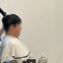 토탈플렌