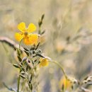 마음을 다스리는 방법은, 기도 외에는 없습니다. 이미지