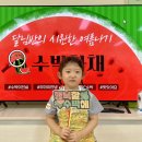 🍉수박 화채 요리 활동🍉 이미지