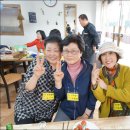꼬꼬향기 이미지