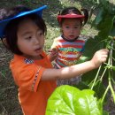 상운농장 이미지