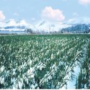 진도종합유통 이미지