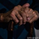 너른뜰