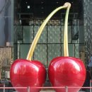 십자가축병원 이미지