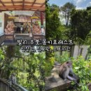 이평16 마을진입로 | 발리 우붓 몽키포레스트 입장권, 짐보관, 소요시간