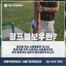 그린골프크리닉 이미지