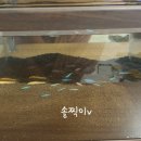 월산수족관