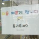 금산애견용품