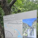제주 천지연 난대림 | [제주도] 여행 천지연 폭포 기암절벽과 아름다운 천지연 폭포 제주도 필수코스 후기 (주차장 및 안내)