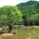 (주)청송방역공사 | [6/11] 청송 주왕산국립공원 | 대전사 | 주산지