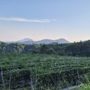 2025년 고냉지 고추가루 예약을 시작합니다. 이미지