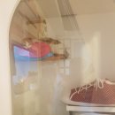 이자매펫미용원 이미지