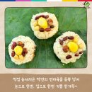 노바블룸디자인 이미지