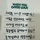 로에타