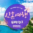 이안여행사