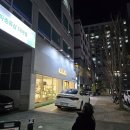 대전 파충류샵 디어렙 노은본점 크레스티드 게코 분양 방문 후기
