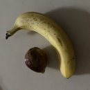 연식과일
