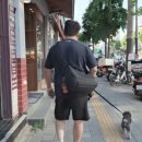 청량리 애견동반 식당 추천｜분위기 좋은 해피디쉬클럽에서 모아랑 데이트하고 온 후기