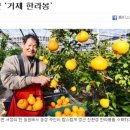 영근농장 이미지