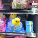 베스킨라빈스포항애비뉴