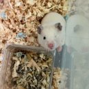 [온천동 수족관] 카페 엔젤인어항 - 물멍하다가 왔다~!
