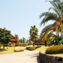 써니데이제주 이미지