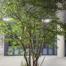 365자연을담다 이미지