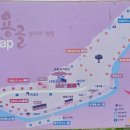 용골송어와 캠핑 | 강원도 평창 용골송어와캠핑 시원한 계곡 캠핑장 추천 명당 사이트 편의시설 송어 잡기 체험 후기